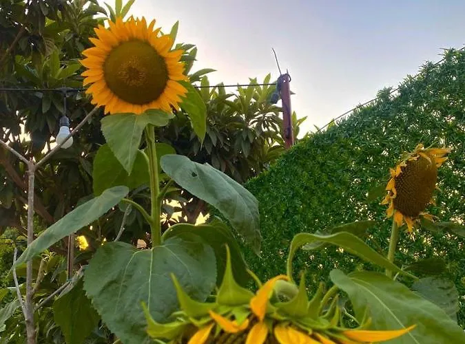 호텔 Lemon-ada Butik *