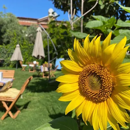 Lemon-ada Butik * Kuşadası