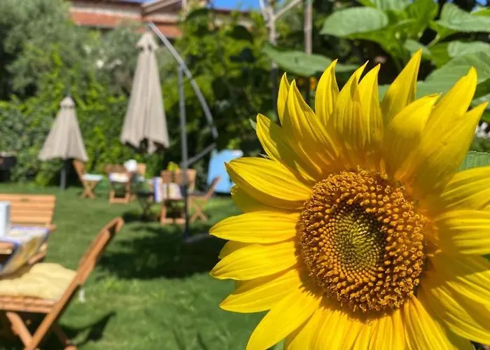 Lemon-ada Butik * Kusadası